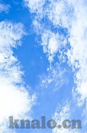 成人视频网址-成人视频网址，网络时代下的信息选择与伦理考量