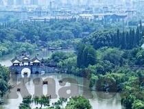 国产麻豆免费av-国内影视探索，国产麻豆领域的自由之窗