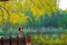 麻豆传媒国产在哪看-挖掘国产文化的独特魅力——以麻豆传媒的视野为桥梁