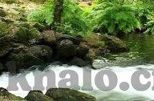 深圳麻豆传媒有限公司-深圳麻豆传媒，创新引领下的本土文化新势力