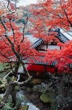 手机伦理电影下载-移动时代的伦理边界，手机、伦理与电影下载的微妙关系