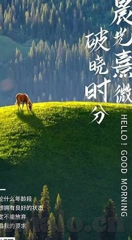 糖心app安装大全-轻松一瞥，糖心app安装其实很便捷